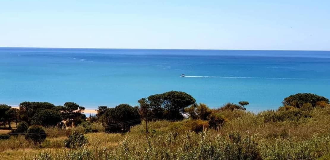 Il Canneto Di Selinunte Маринелла Экстерьер фото