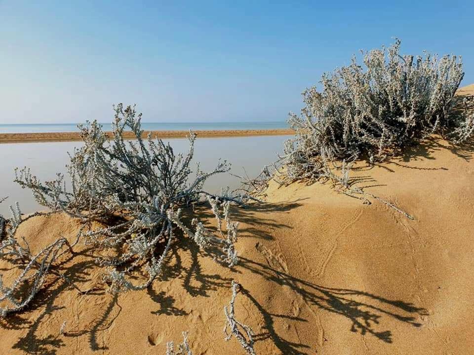 Il Canneto Di Selinunte Маринелла Экстерьер фото