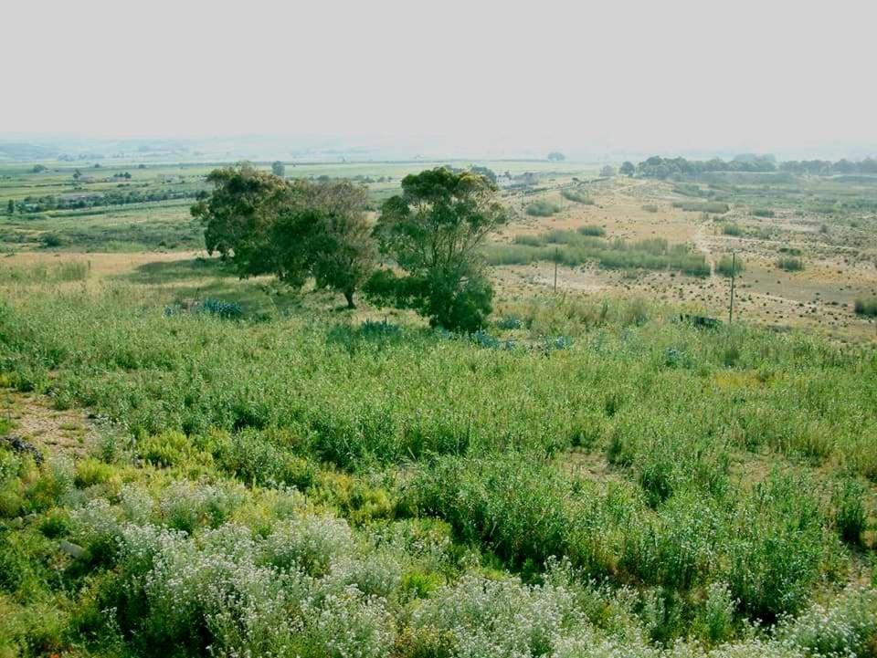 Il Canneto Di Selinunte Маринелла Экстерьер фото