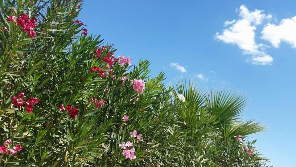Il Canneto Di Selinunte Маринелла Экстерьер фото